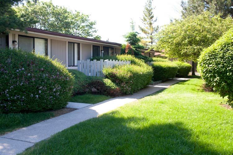A walkway leading to a house with a white picket fence