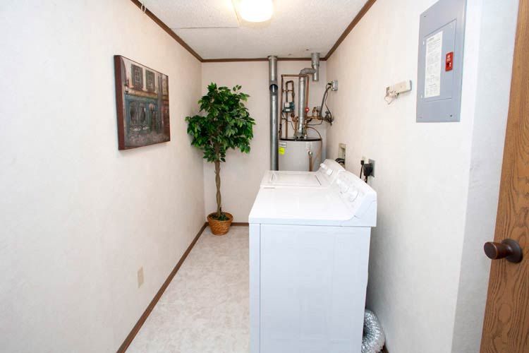 A laundry room with a washer and dryer and a potted plant.