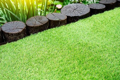 A row of wooden stump borders a lush green lawn.