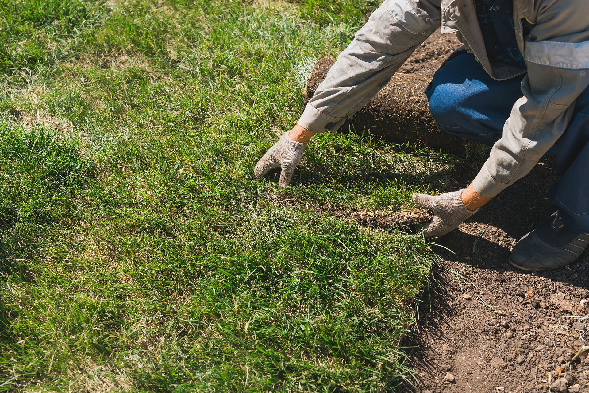 A person is kneeling down in the dirt and planting grass.