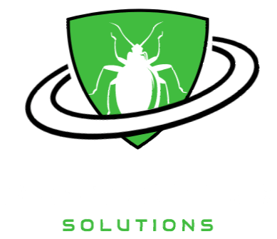 Carpet Beetle Removal In Maidstone • Pest Control In Maidstone