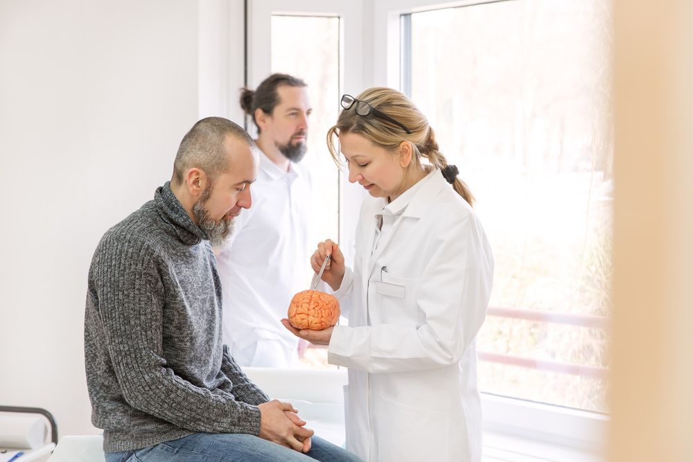 A Doctor is Holding a Model of a Brain in Front of a Patient — AMC Exercise Physiology in Maitland, NSW