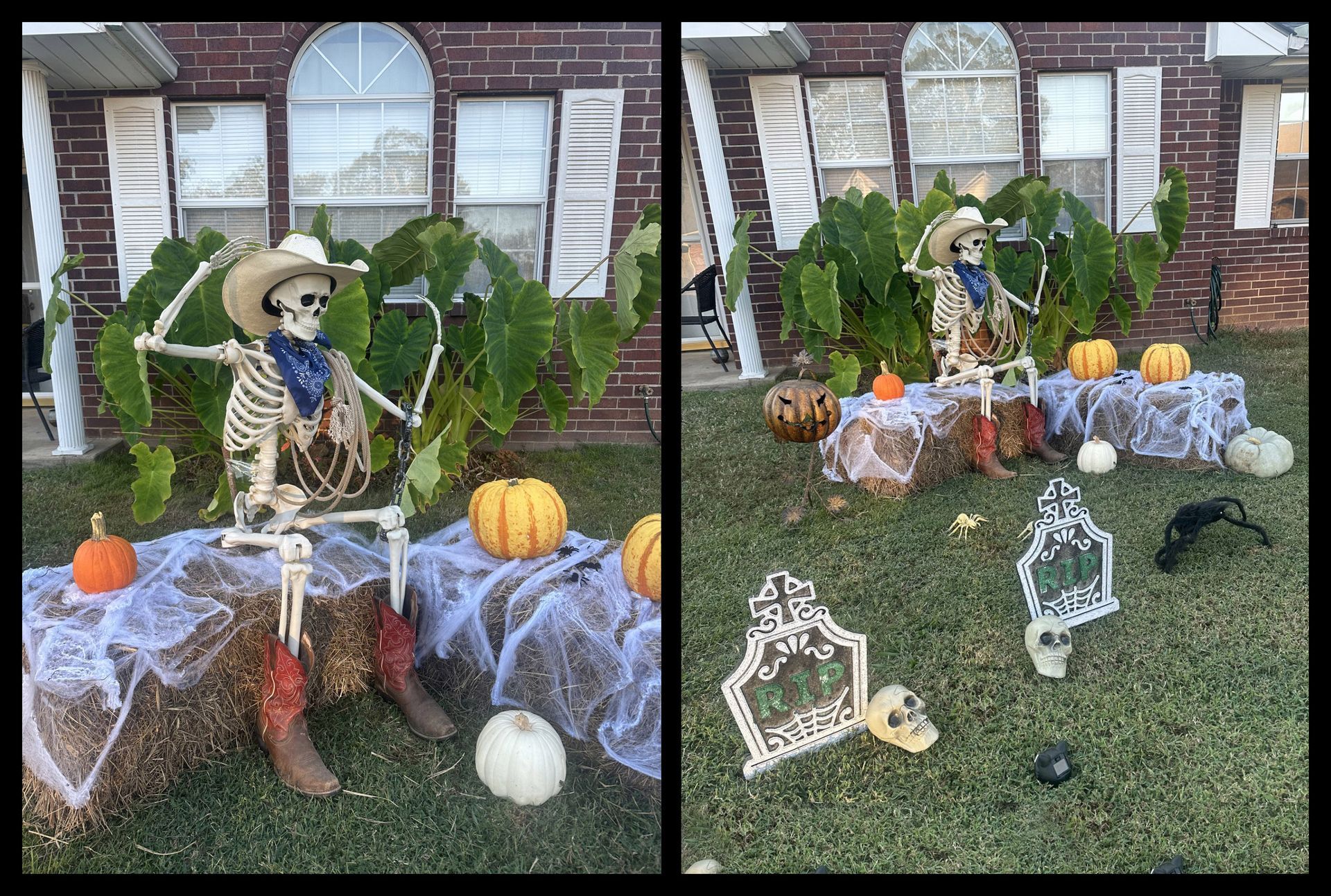 Yard #3