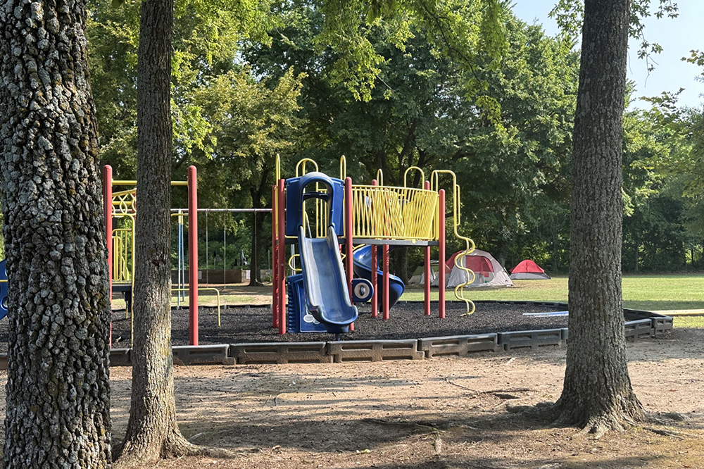 A playground with a slide and swings in a park surrounded by trees.