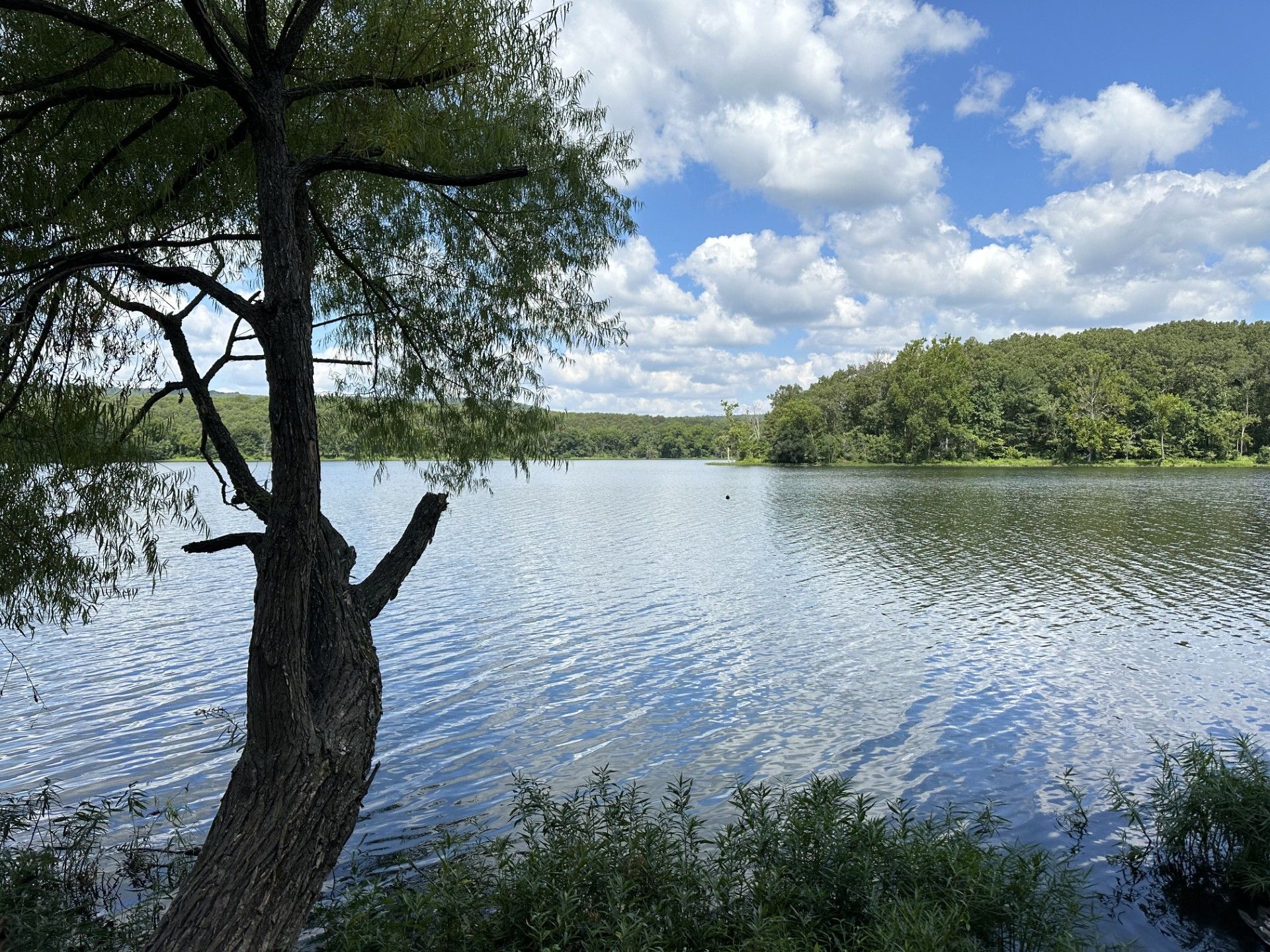 Carson Lake photo