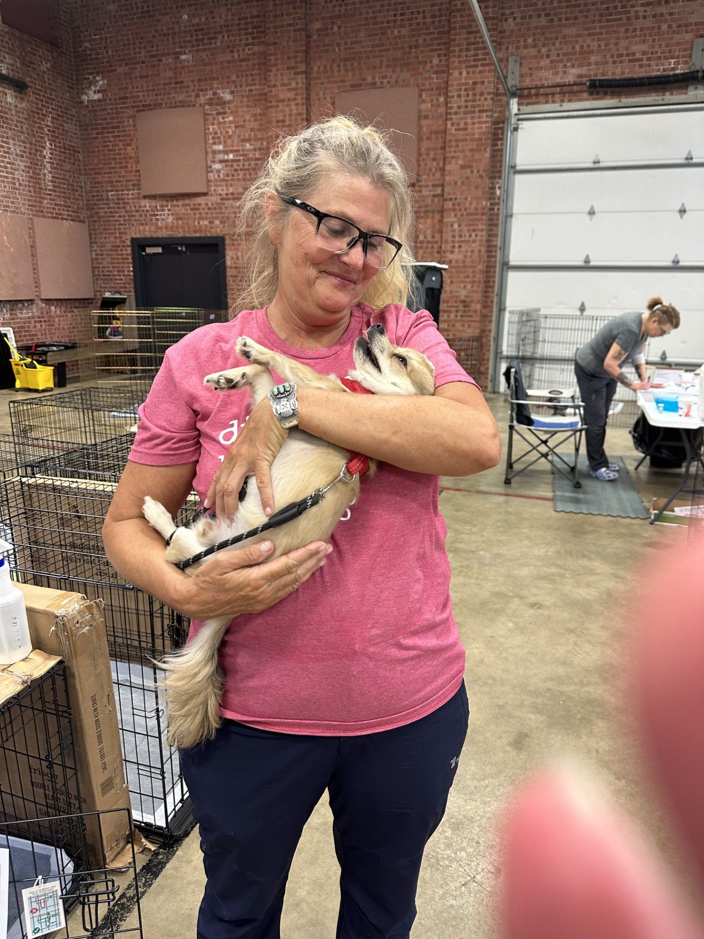 A woman in a pink shirt is holding a small dog in her arms.