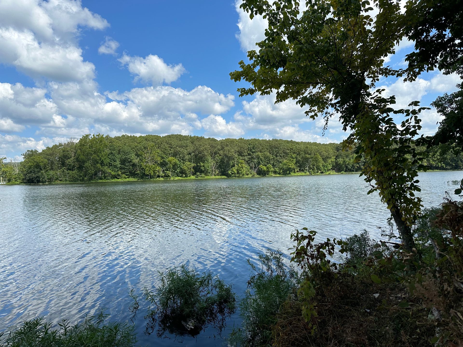 C.J. Carson Lake