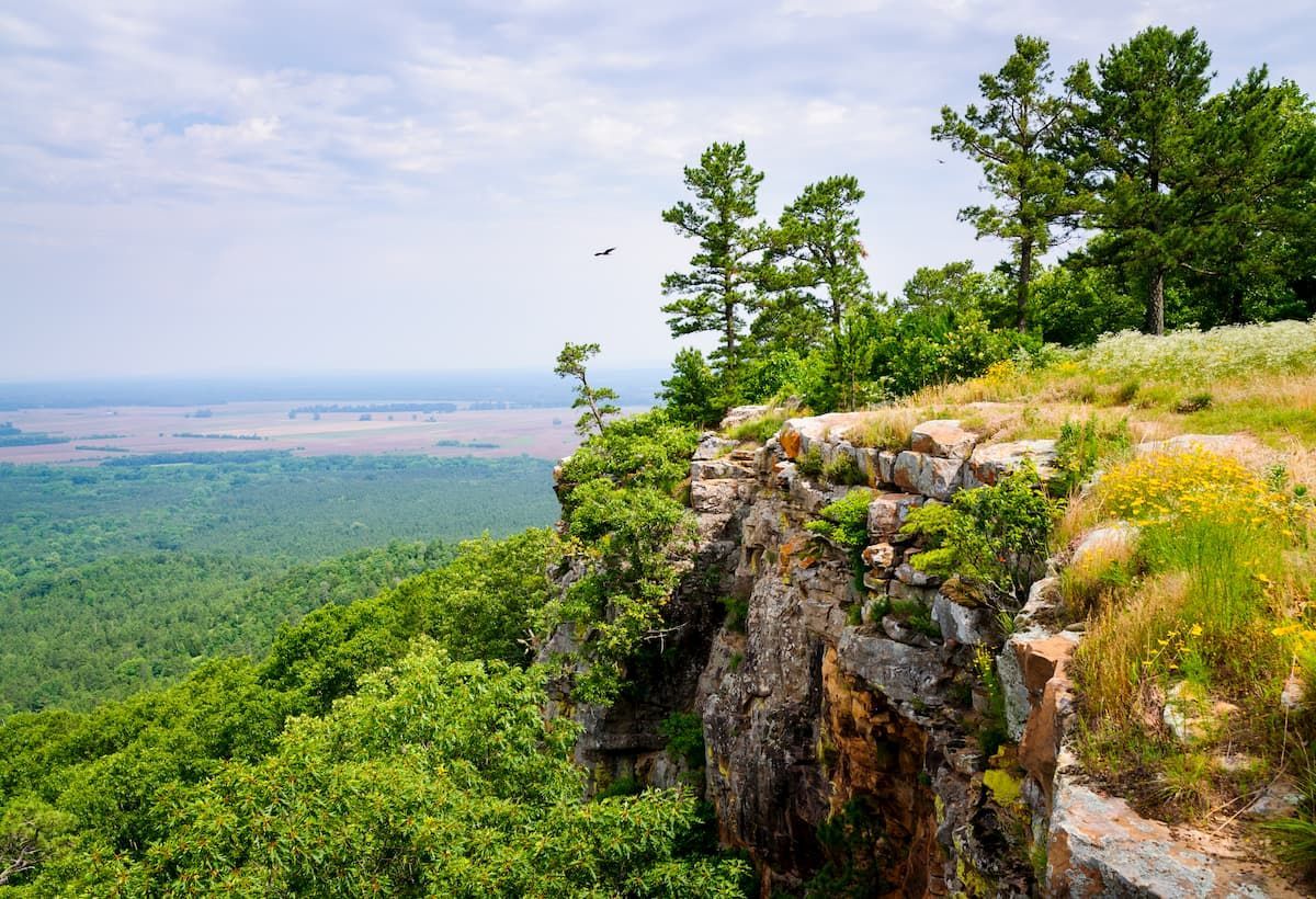 A cliff overlooking the ocean with a grassy hill in the foreground