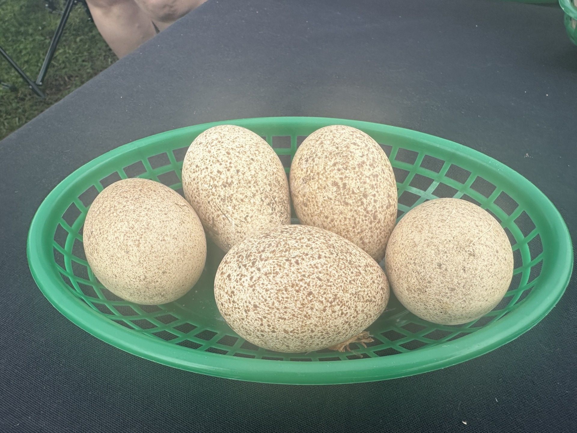 Turkey eggs were available at the Farmers Market.
