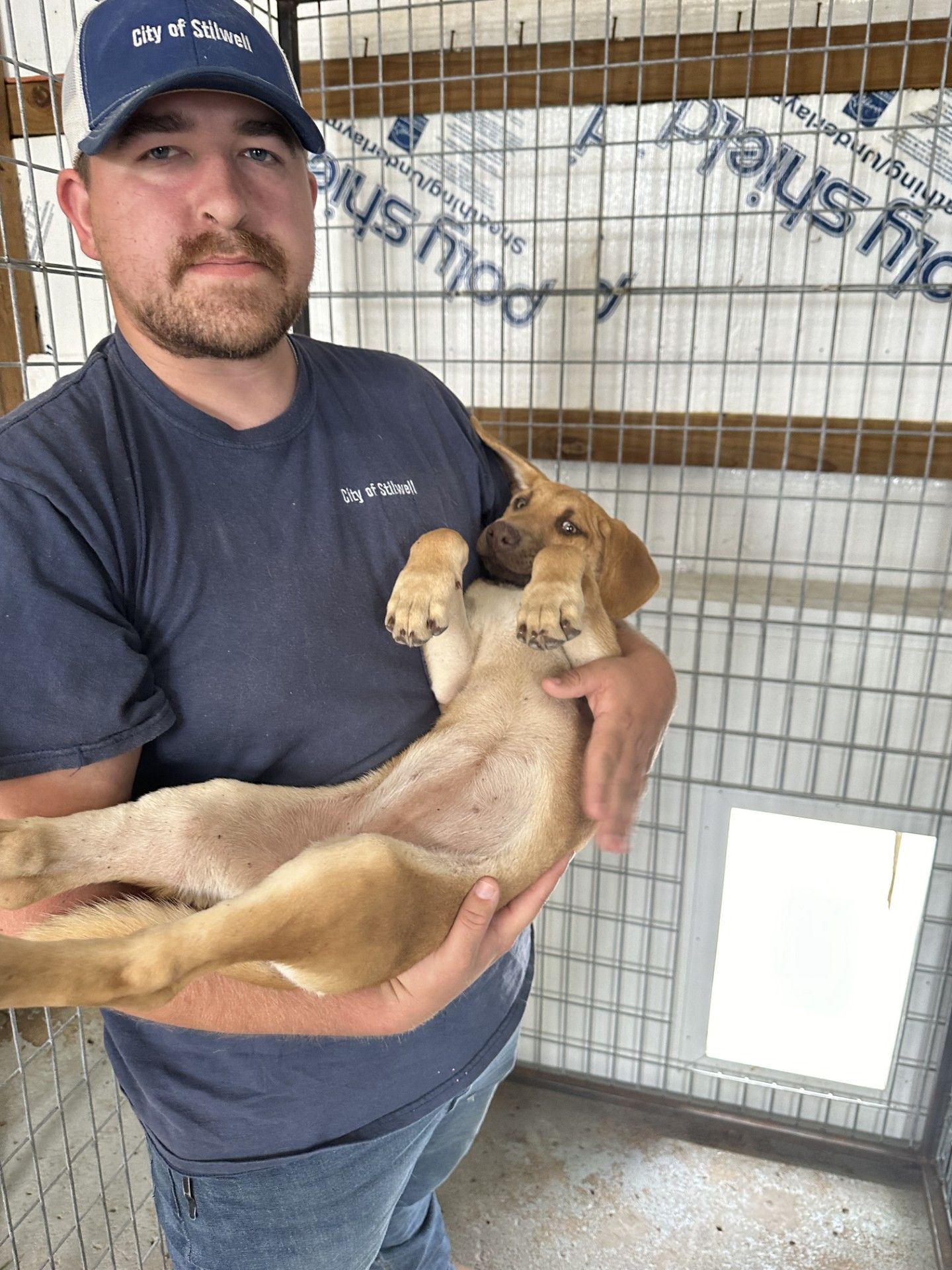 Animal Control Officer Tyler Rinehart takes care of a dog at the Stilwell facility