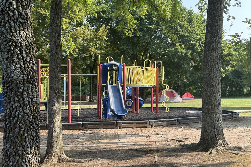 A playground with a slide and swings in a park surrounded by trees.