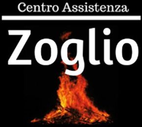 ZOGLIO ASSISTENZA TECNICA THERMOROSSI- logo