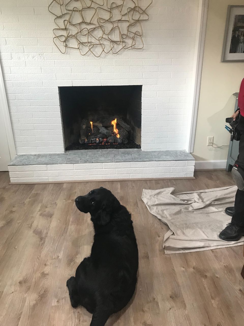 A black dog is sitting in front of a fireplace in a living room.