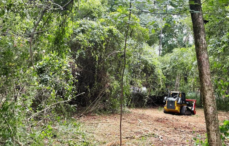 land clearing services