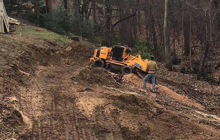 lot clearing and brush removal