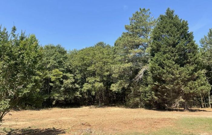 site preparation and land clearing