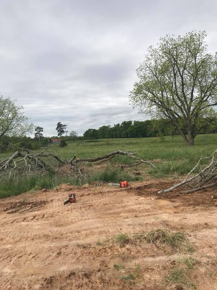 tree removal and land clearing Buford GA