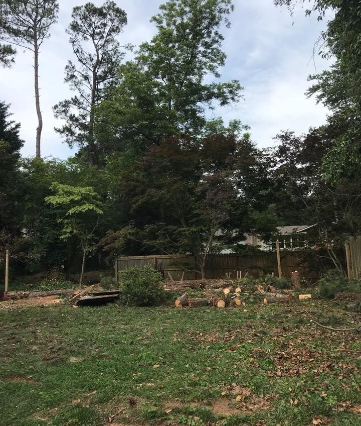 tree pruning and removal Buford GA