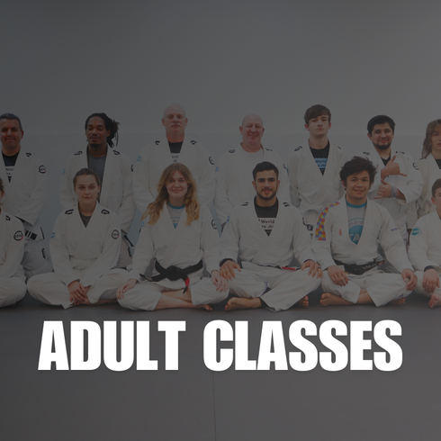 Adult Jiu-Jitsu