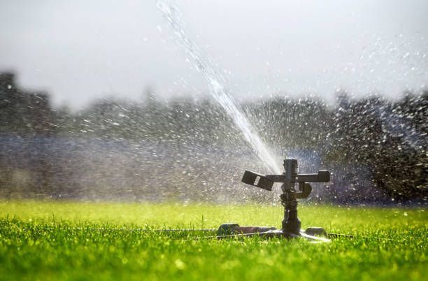 A sprinkler is spraying water on a lush green field.