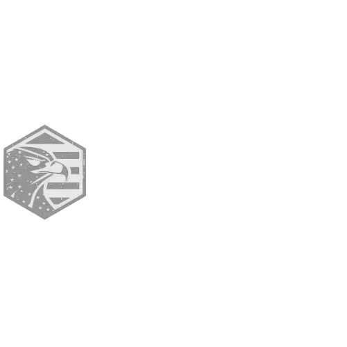 Gray hexagonal logo with a stylized animal face and geometric lines on a white background