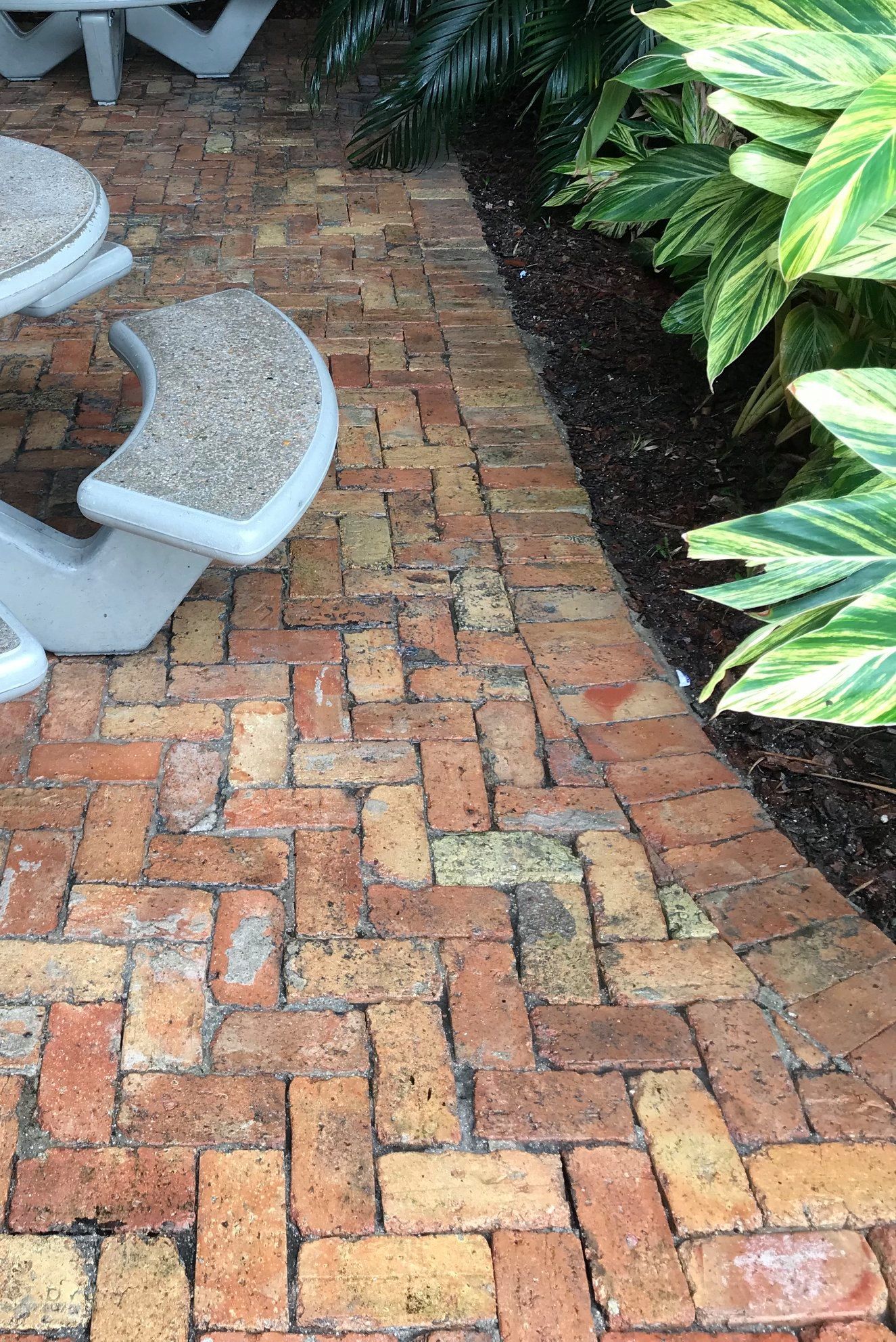 A brick walkway with a picnic table and benches on it.