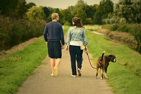 couple walking dog in park