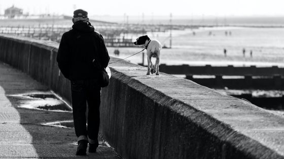 man walking dog along pier