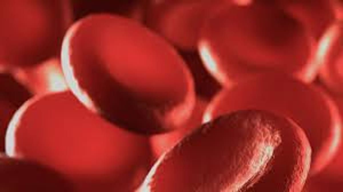 foto de plaquetas na corrente sanguínea. 