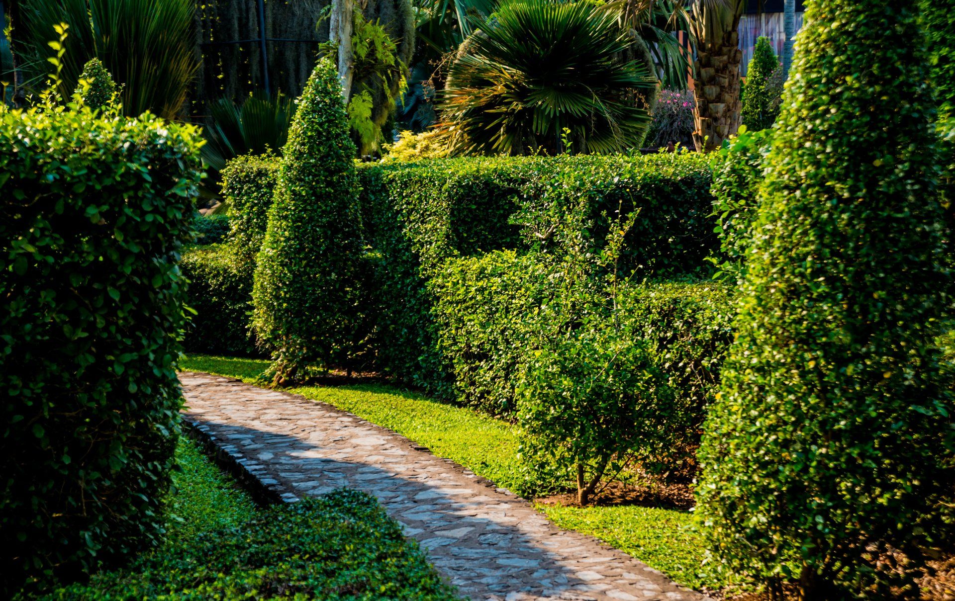 Sole Verde di Francesco Serio con sede a Oria, Br, è una ditta di medie dimensioni che si occupa di giardinaggio offrendo servizi professionali