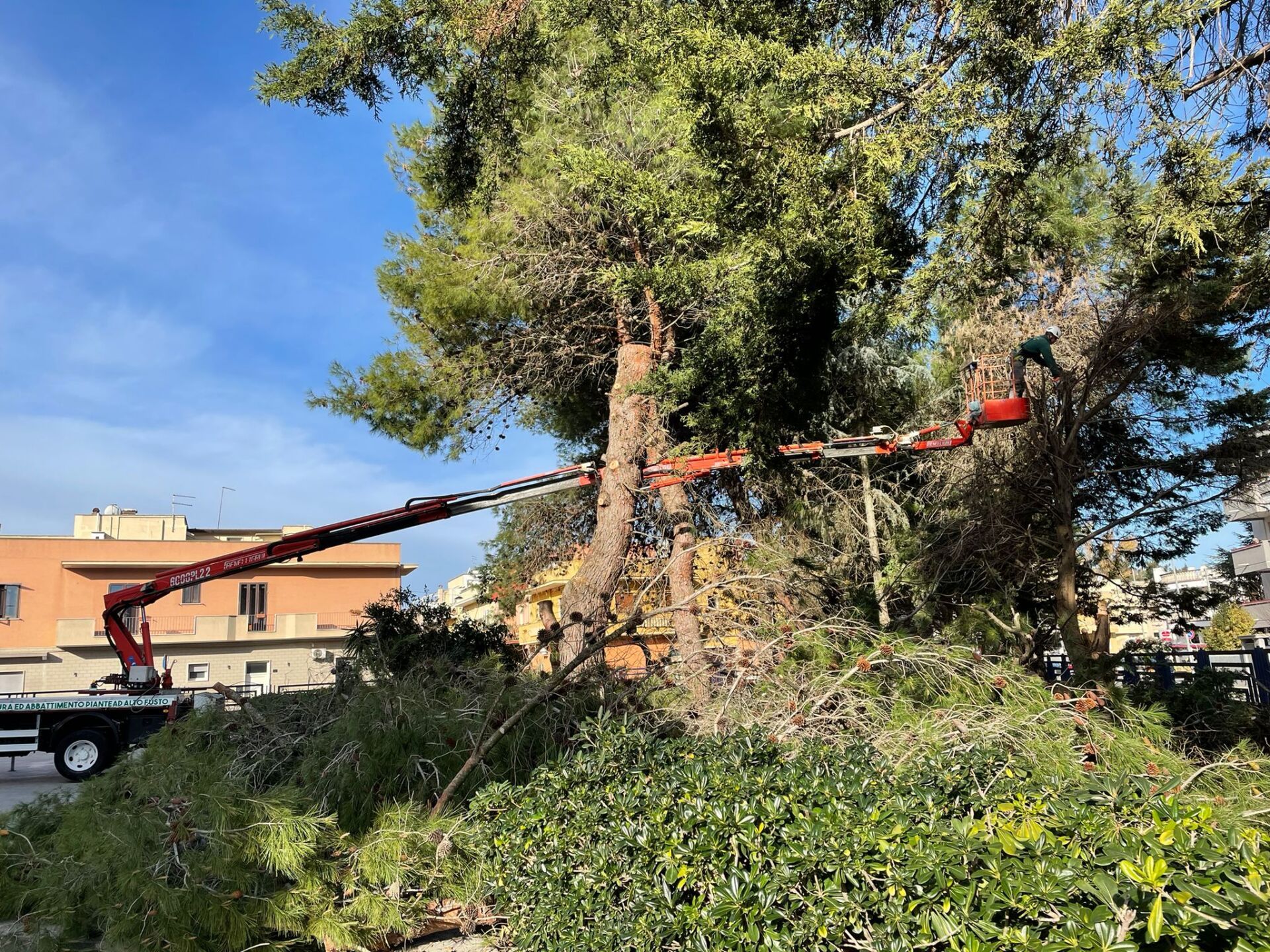Sole Verde di Francesco Serio con sede a Oria, Br, è una ditta di medie dimensioni che si occupa di giardinaggio offrendo servizi professionali