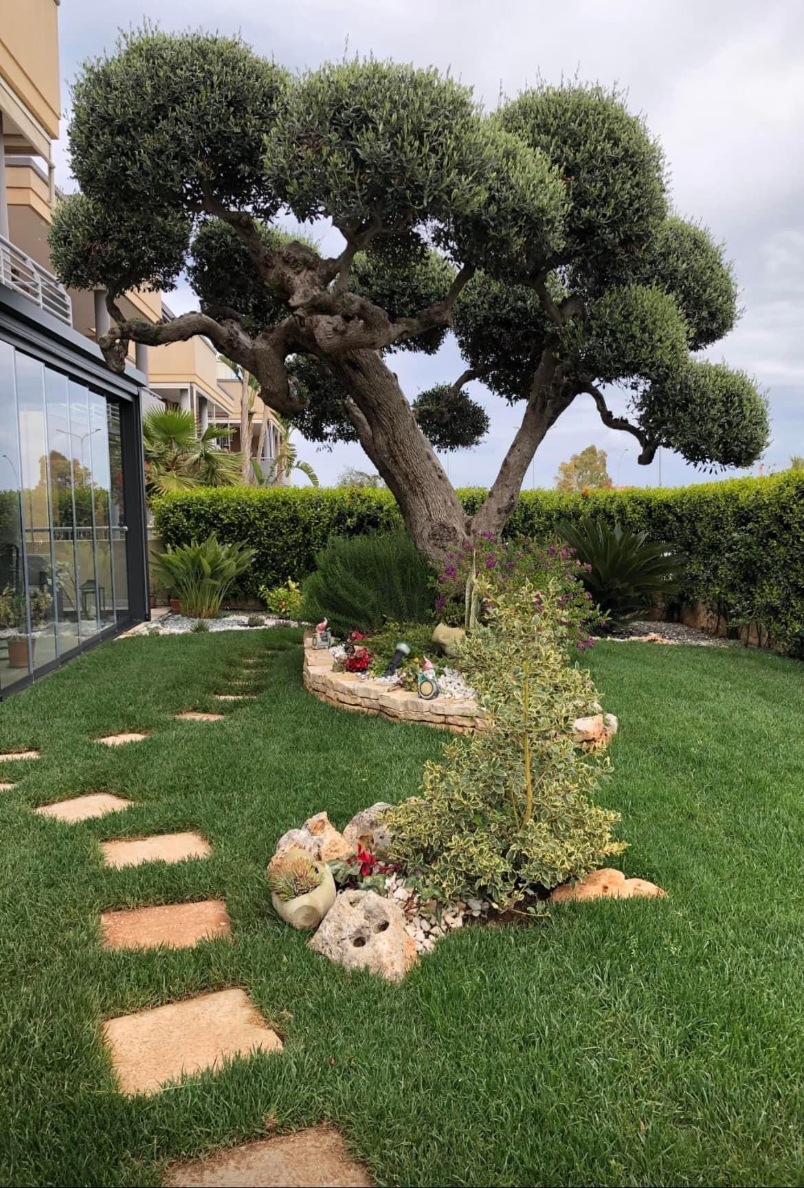 Sole Verde di Francesco Serio con sede a Oria, Br, è una ditta di medie dimensioni che si occupa di giardinaggio offrendo servizi professionali