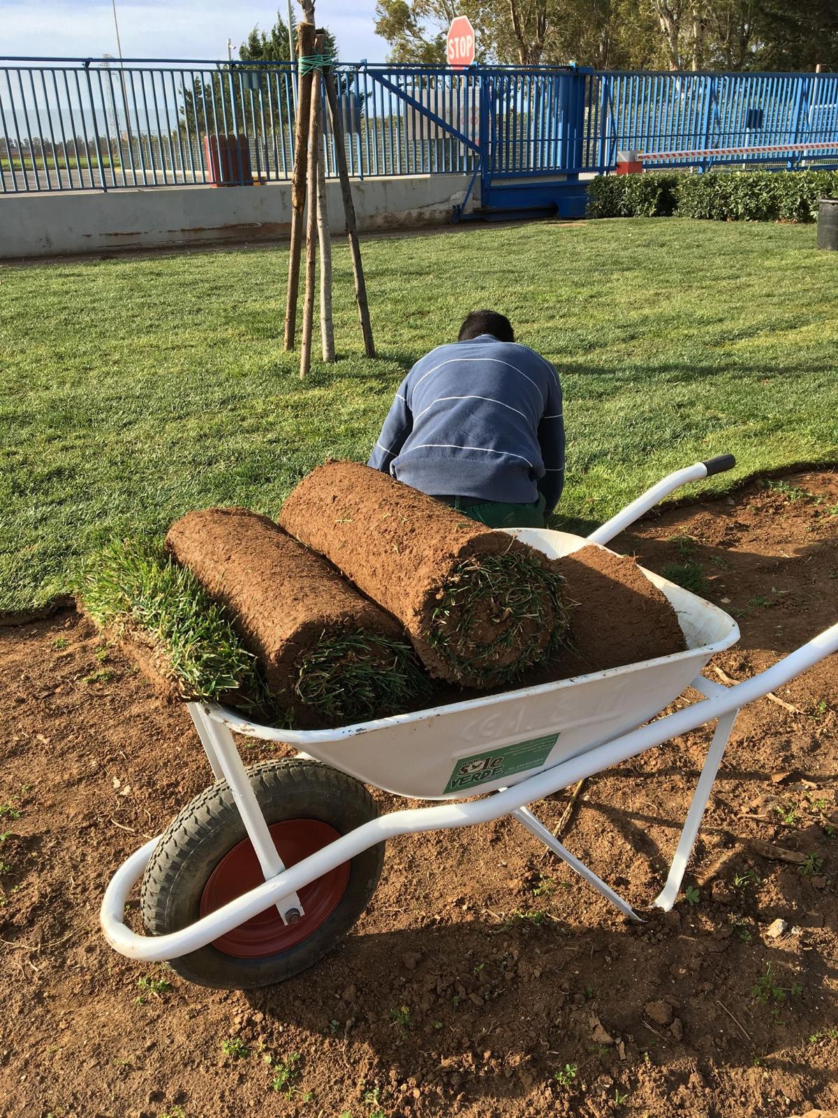 Sole Verde di Francesco Serio con sede a Oria, Br, è una ditta di medie dimensioni che si occupa di giardinaggio offrendo servizi professionali