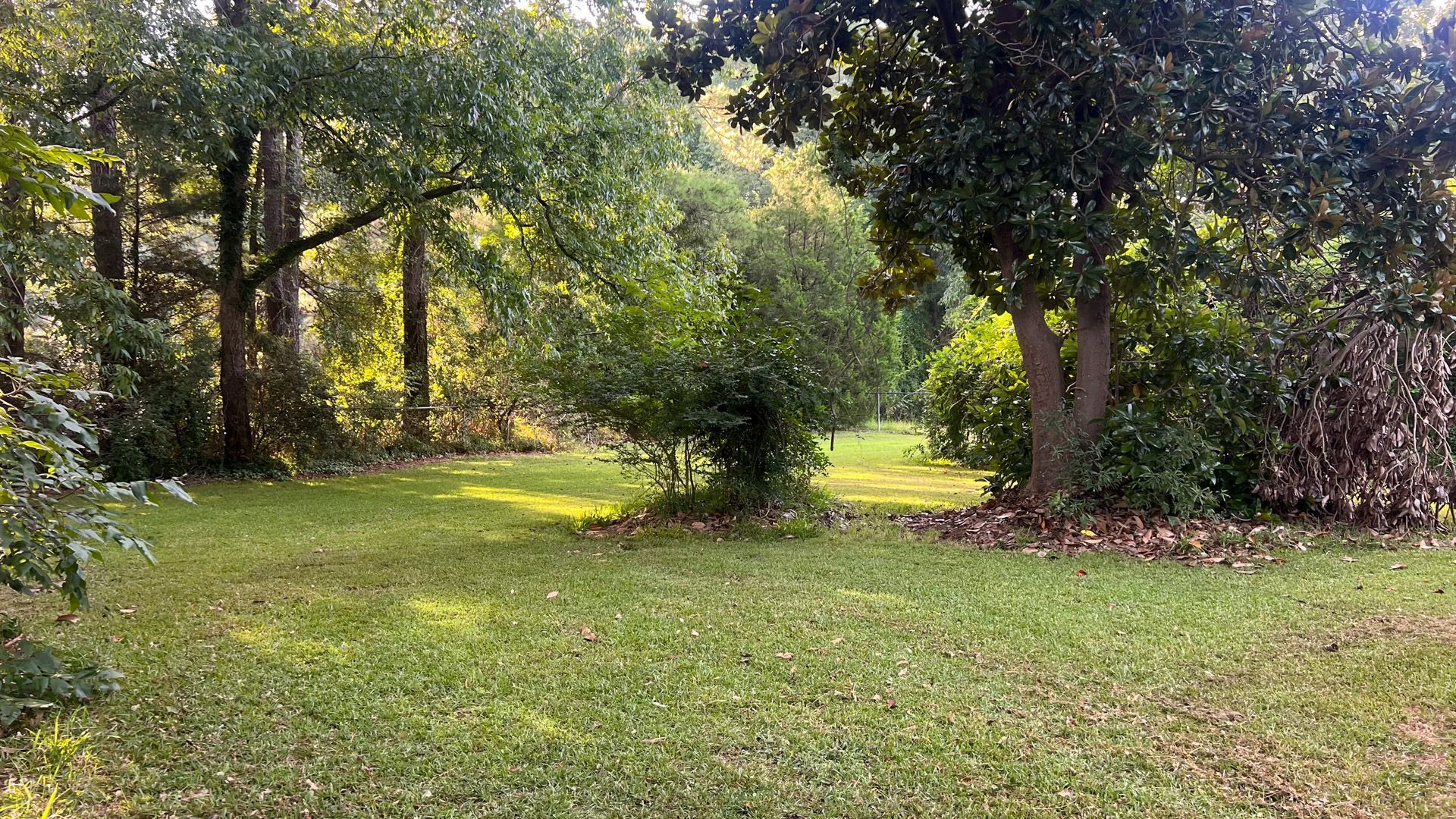 A lush green field surrounded by trees and bushes on a sunny day.