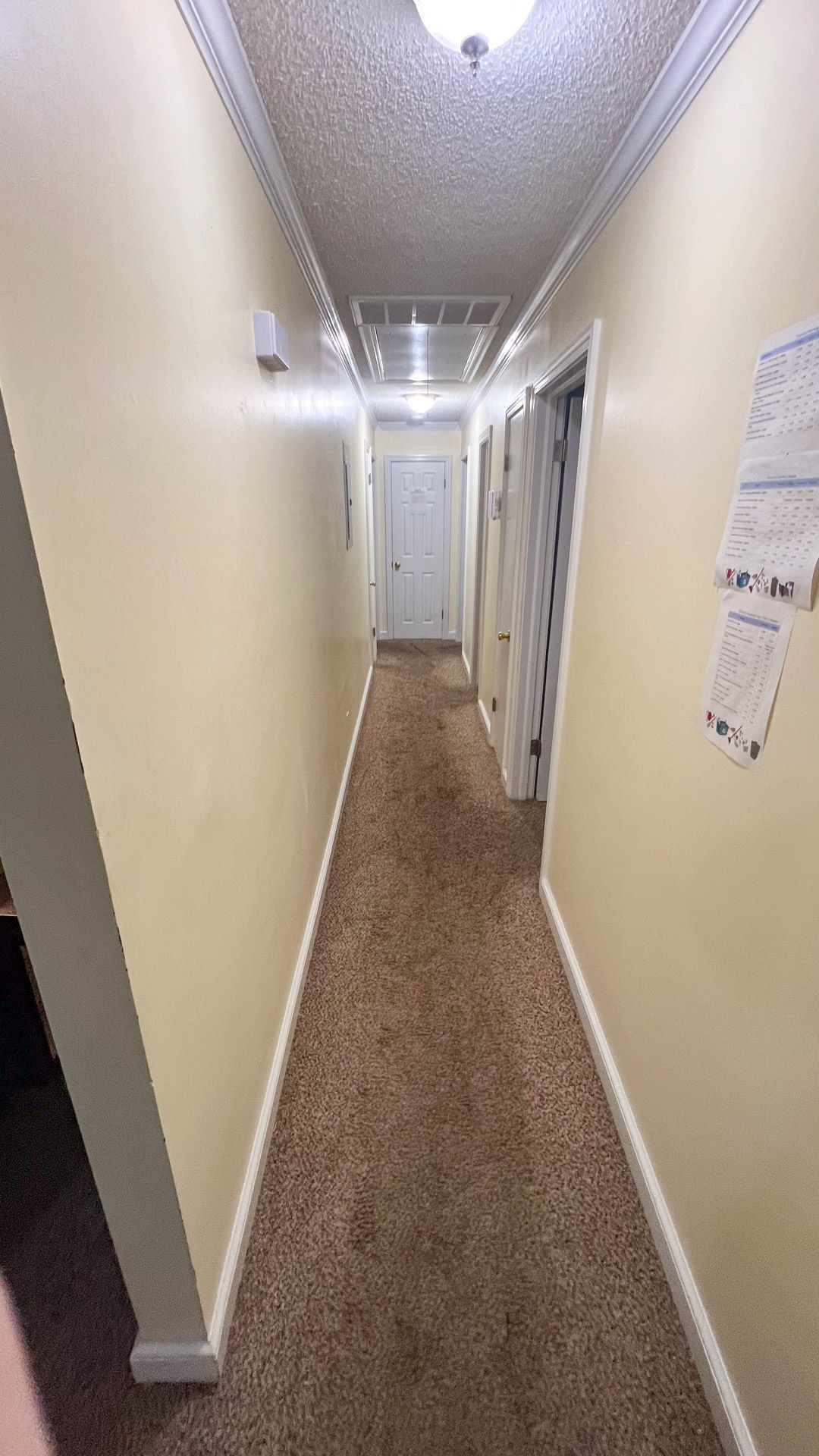 A long hallway with a carpeted floor and a light on the ceiling.