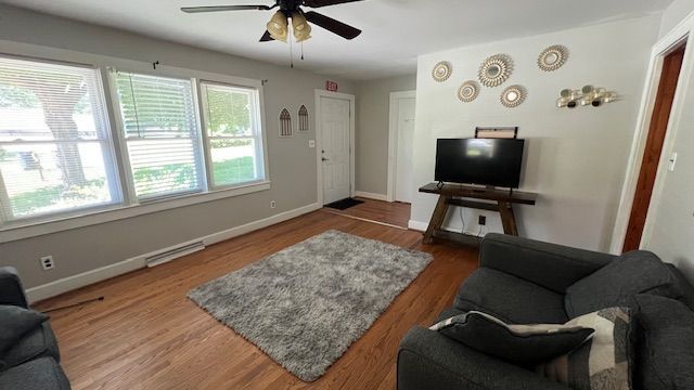 Living room with gray walls, hardwood floors, a rug, and a TV on a wooden stand.