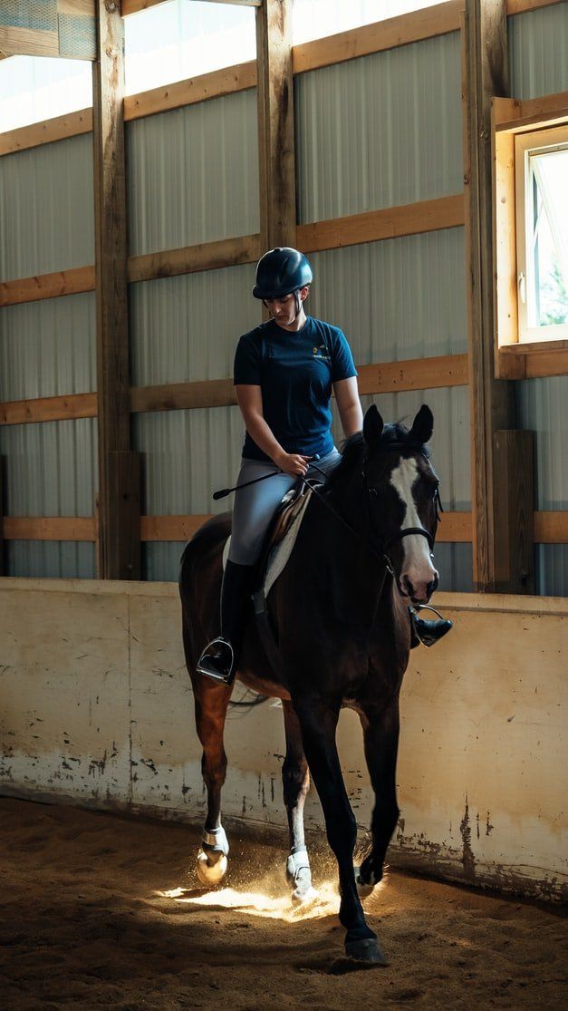 Fernfield Equestrian | Riding Lessons & Equestrian Coaching Devon