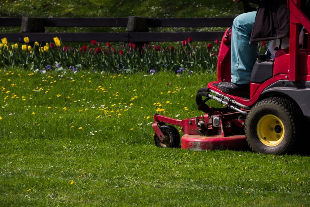 Red riding lawn mower cutting grass — Old Mates Grass Cutters in Deeragun, QLD