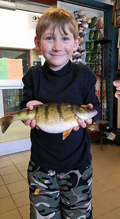 A young boy is holding a large fish in his hands.