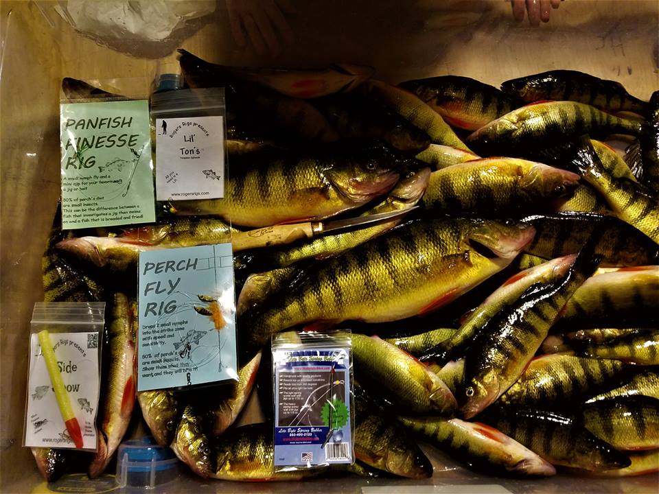 A box of perch fly rigs sits on a table