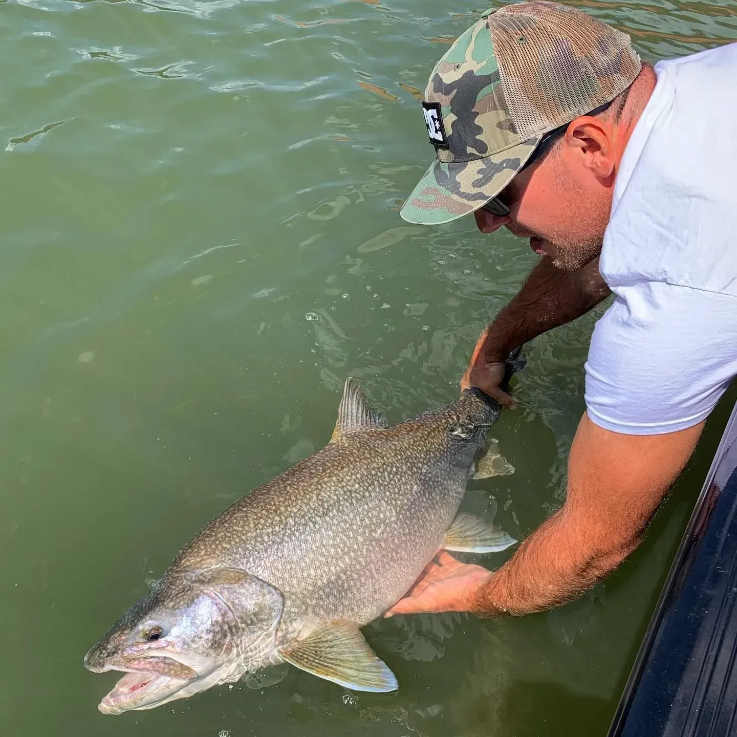 Man holding a large fish in water, wearing a camo hat and white shirt.