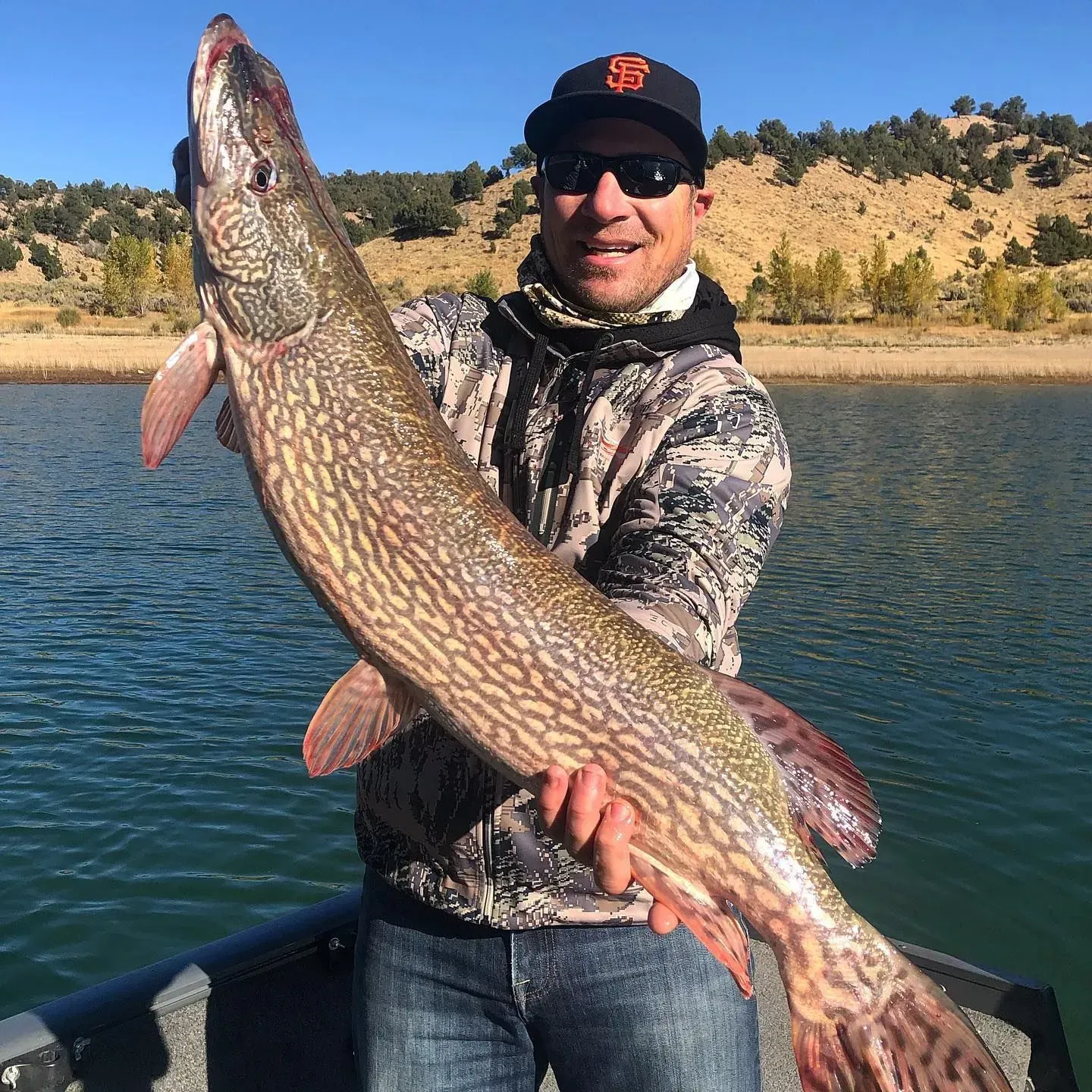 Man holding a large northern pike fish on a boat, wearing a camouflage jacket and Giants cap.