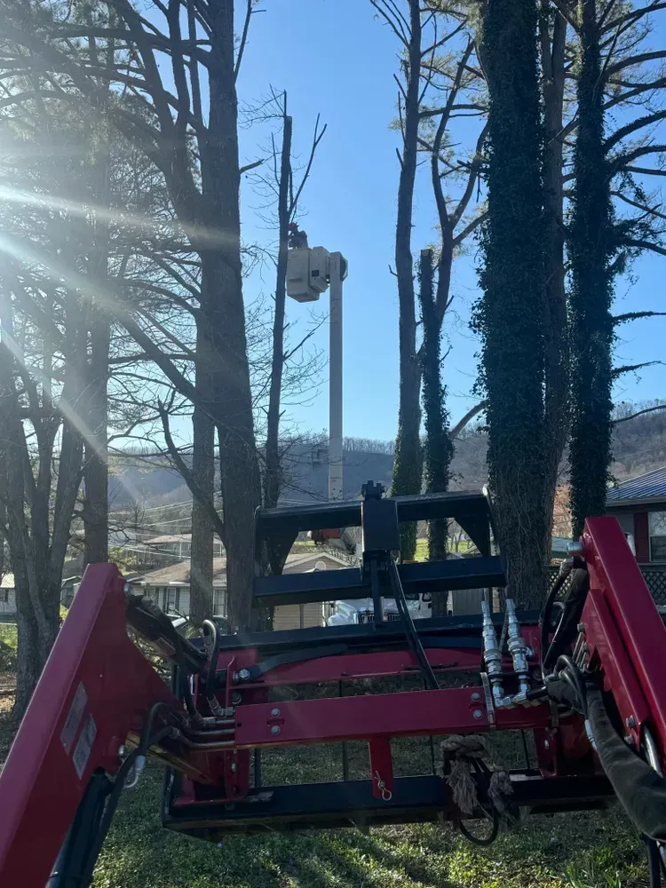 A red tractor is cutting a tree in the woods.