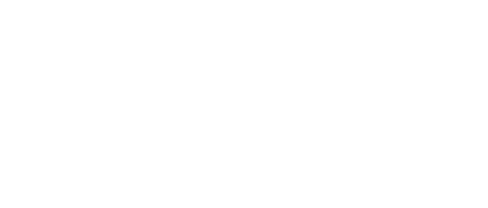 CardConnect Logo - White
