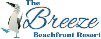 the breeze logo