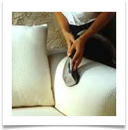 Upholstery being cleaning in Ft Myers