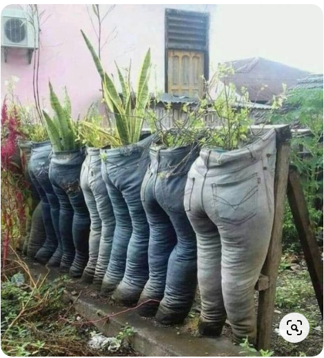 Plants On Pants — Tyler, TX — Creative Landscape Solutions