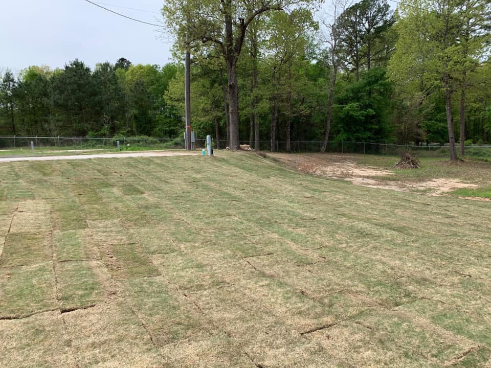Backyard With Newly Installed Sod — Tyler, TX — Creative Landscape Solutions