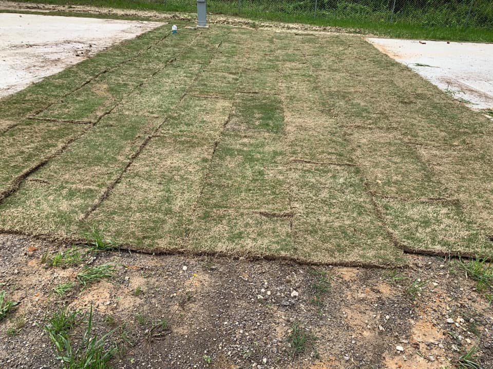 Laid Out Sod — Tyler, TX — Creative Landscape Solutions
