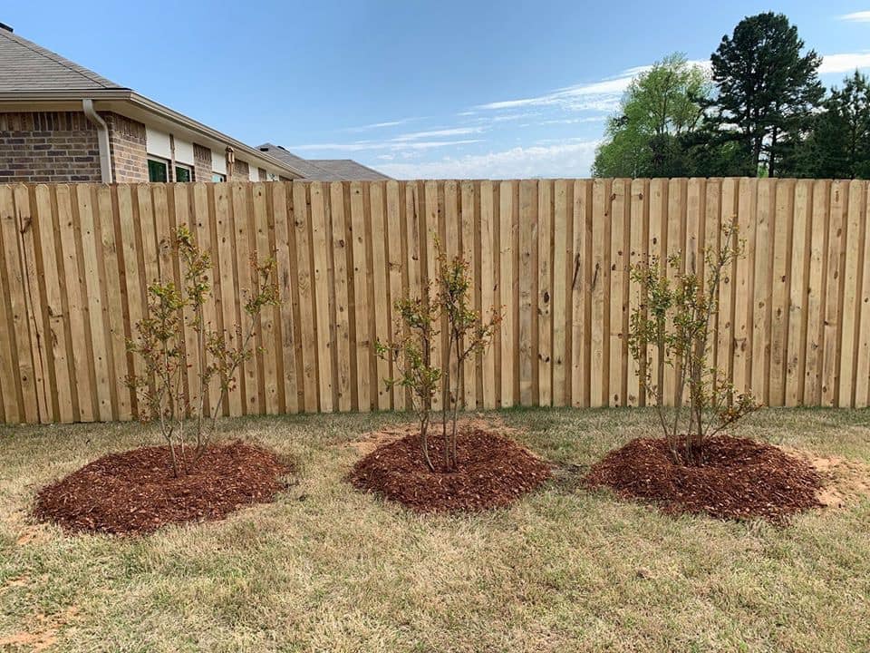 Planted Trees — Tyler, TX — Creative Landscape Solutions